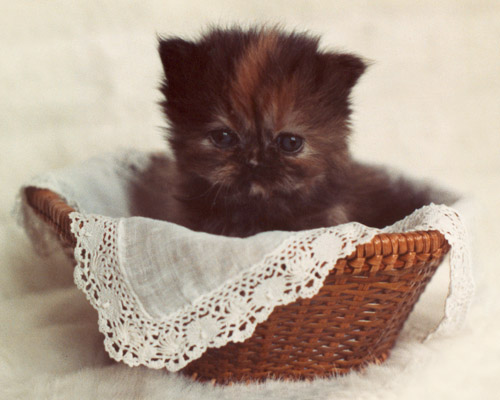 A_152 Juanita 2 copy