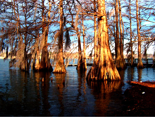 A_16_Photo_15_Nature